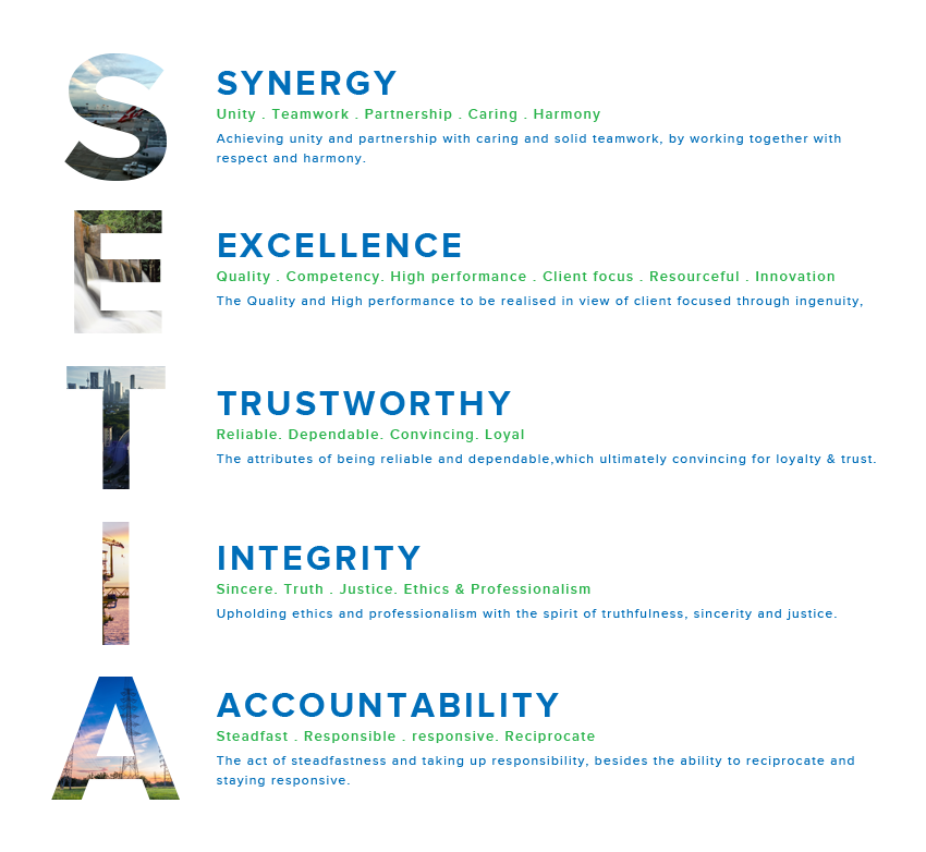 synergy, excellence, trustworthy, integrity, accountability